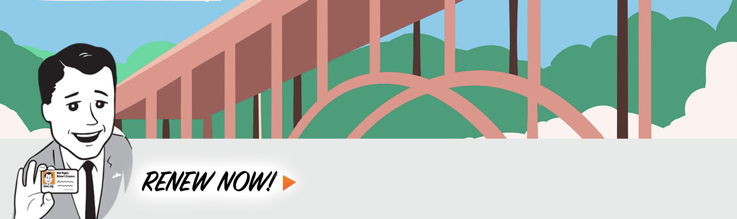 DMV Banner